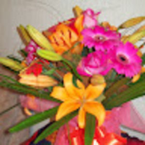 Meet your Posher, Serena